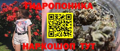 2c-b Троицк