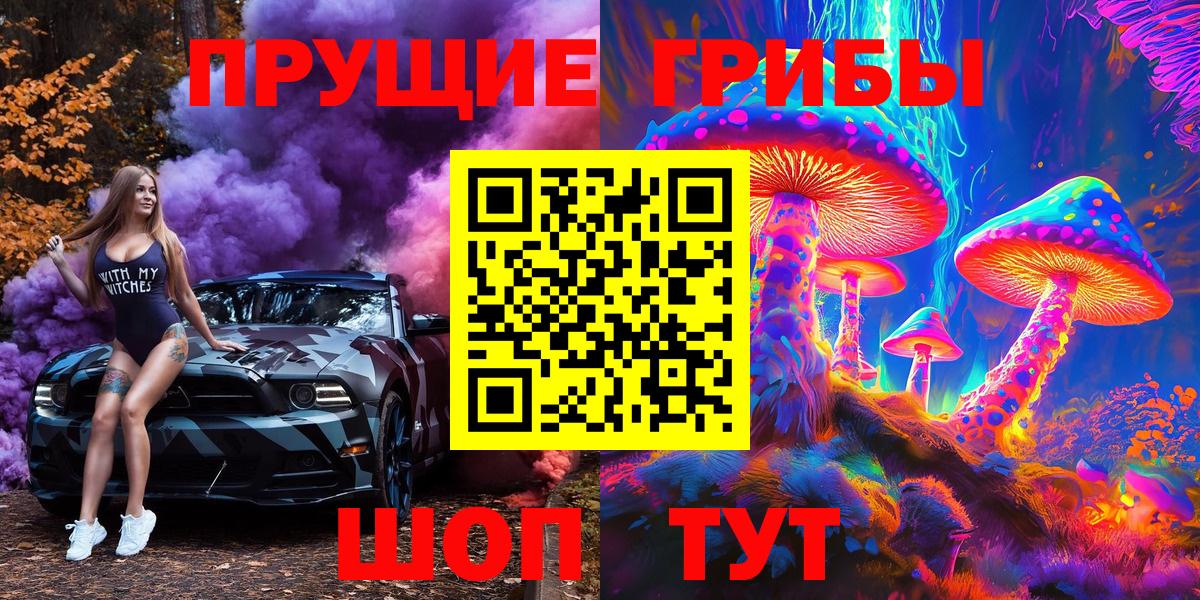 Псилоцибиновые грибы Psilocybine cubensis Коммунар